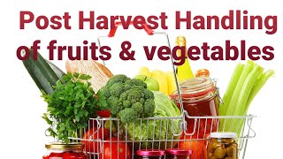 Post Harvest Handling of Fruits amp vegetables ।। Precooling  Curing  Degreening  Waxing [upl. by Aruabea]