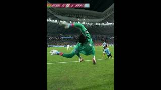 Impossible Goalkeeper Saves [upl. by Vassar]