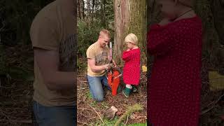 Clearing the land for our homesite logging homestead cabinbuild [upl. by Clementas]