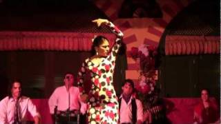 Flamenco Dance Seville Spain [upl. by Kirschner]