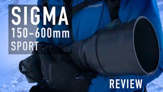 Sigma 150600mm Sport  My own experience with a hired lens [upl. by Baram]