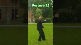 La forme de la Terre 25è posture nature martialarts taichichuan [upl. by Kidd]