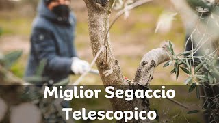 Miglior Segaccio Telescopico per Potatura Guida allacquisto e Recensioni [upl. by Fineberg]