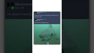 Do You Like Shark Memes [upl. by Lewison]