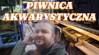 Piwnica akwarystyczna Łódź Damian Lewiński [upl. by Fisk]