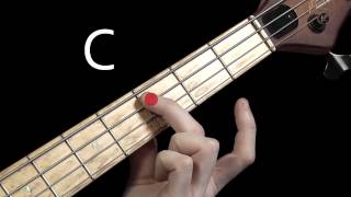 Learn Bass Guitar  Scales amp Chord Tones  part 1 [upl. by Jacobina]