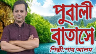 পূবালী বাতাসে  pubali batashe  শিল্পীশাহ আলম  cover song [upl. by Oderfodog]