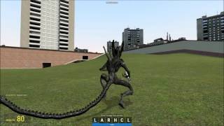 avp2 source [upl. by Ok]