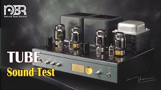 High End Sound Test  Best Voices amp Smooth Jazz  Natural Beat Records [upl. by Jacquetta299]