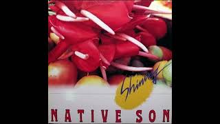 Native Son  Go For It [upl. by Tomlin]