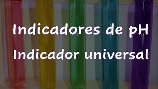 Na prática 7 Indicadores de pH  Indicador Universal [upl. by Adelle]