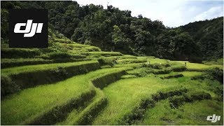 DJI S800 Flying Over Banaue Rice Terraces in Philippines [upl. by Sul850]