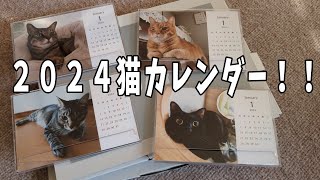 【４猫暮らし690s】 2024猫カレンダーお披露目 [upl. by Aimahs588]