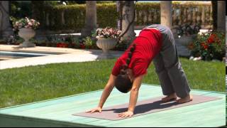 Hatha amp Flow Yoga for Beginners [upl. by Jacobina618]