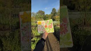 moleskine travel journal in watercolor belmond [upl. by Meihar]