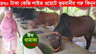 2024 ঈদে নারী উদ্যোক্তার খামার থেকে ৪৭০ টাকা কেজি লাইভ ওয়েটে কুরবানির গরু কিনুন Farah agro [upl. by Eissolf]