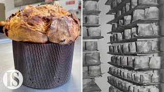 Il Panettone la ricetta milanese originale della Pasticceria Besuschio dal 1845 [upl. by Drusilla]