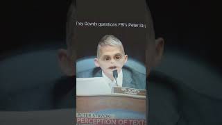 Trey Gowdy amp Peter Strzok go at it [upl. by Hausmann]