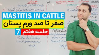 All about mastitis in cattlecontagious mastitis [upl. by Spalding]