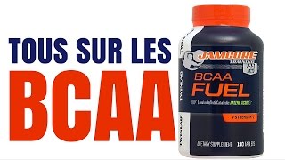 BCAA  COMBIEN  QUAND  RATIO  AVEC QUOI  DOSAGE PRO [upl. by Ifen]