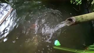 Relaxation splashing water in a simple pool [upl. by Uyekawa]