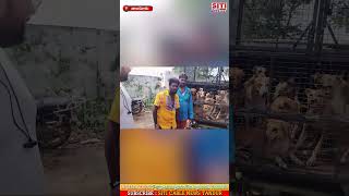 తాండూరులో తప్పనున్న వీధి కుక్కల బెడద Siticablenews Localnews Tandurnews Vikarabad [upl. by Elehcar]