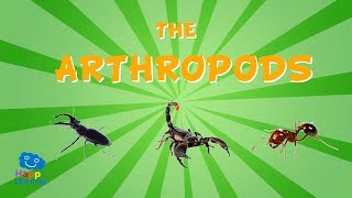 The Arthropods  Educational Video for Kids [upl. by Biddle]