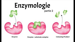 ENZYMOLOGIE PART 2  CINETIQUE  REGULATEURS  ALLOSTERIE [upl. by Noelle]