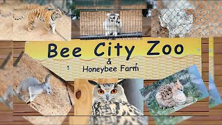 Bee City Zoo Interactive Wildlife Experiences in Cottageville SC [upl. by Ikeda]