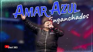 AMAR AZUL ✘ Enganchados Cumbias del Recuerdo ✘ NDR TROPITANGO ✘ 2024 Dsd 383 [upl. by Ahsirk]