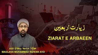 Ziarat e Arbaeen e Imam Hussain as Ziarat of Chehlum e Imam Hussain as [upl. by Alehcim170]