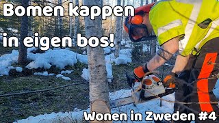 Bomen omzagen in ons eigen bos en een eerste boswandeling Wonen in Zweden VLOG4 [upl. by Mcguire475]