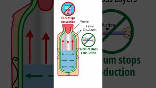 How thermos flask works shorts thermos whatisinside [upl. by Amii]