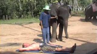 Ero massage thaise olifant [upl. by Anihcak]