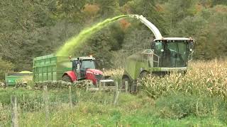 MAIZE 23 Harvest Claas 970 and Massey S7720 A SKILLED OPERATION 81023 [upl. by Yleak712]