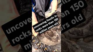 uncovering fossils in rocks more than 150 million years old sc IG  YorkshireFossils short [upl. by Mccready578]