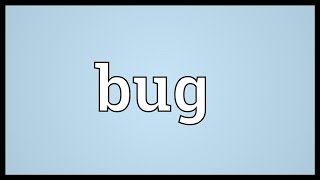 Bug Meaning [upl. by Parthenia]