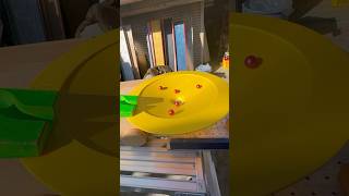 Marble Run☆Handmade Wooden Slope amp HABA  Yellow Circular Slope asmr [upl. by Yann468]