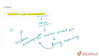 Name the plant process carried by hydathodes  11  TRANSPORT IN PLANTS  BIOLOGY  PRADEEP [upl. by Keffer]