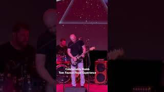 Comfortably Numb  Guitar Solo  Tom Faunce Floyd Experience  Vinegar Hill Music Theatre 62824 [upl. by Yelir]