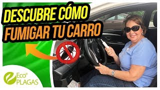 Descubre Cómo Fumigar tu Carro  Fumigando con Señora Rosa [upl. by Atterol]