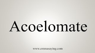 How To Say Acoelomate [upl. by Verla]