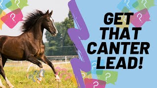 HOw to Get the Correct Canter Lead [upl. by Caterina]