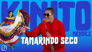 Tamarindo SECO 🪇 KINITOMENDEZOFFICIAL 🤩 Video Oficial [upl. by Akered]