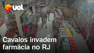 Cavalos invadem farmácia e derrubam prateleiras no Rio de Janeiro vídeo flagra momento da invasão [upl. by Ayocat107]