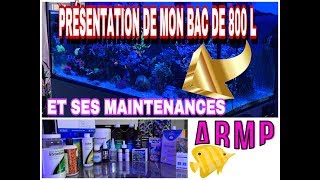 PRESENTATION ET MAINTENANCES DE MON AQUARIUM 800 LITRES RÉCIFAL [upl. by Charlean]