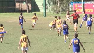 2016 EDFL U10 Div 3 Grand Final  Hadfield highlights [upl. by Asilej]