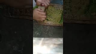 amrud ki chatni recipe funny julirasoi short 🤣😭 [upl. by Anaed248]