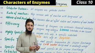 characteristics of enzymes class 11  properties of enzymes class 11 [upl. by Snave]