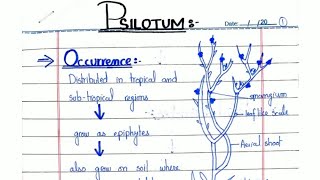 PSILOTUM General characters and Reproduction In hindiUrdu ADSBSCBS [upl. by Xxam279]